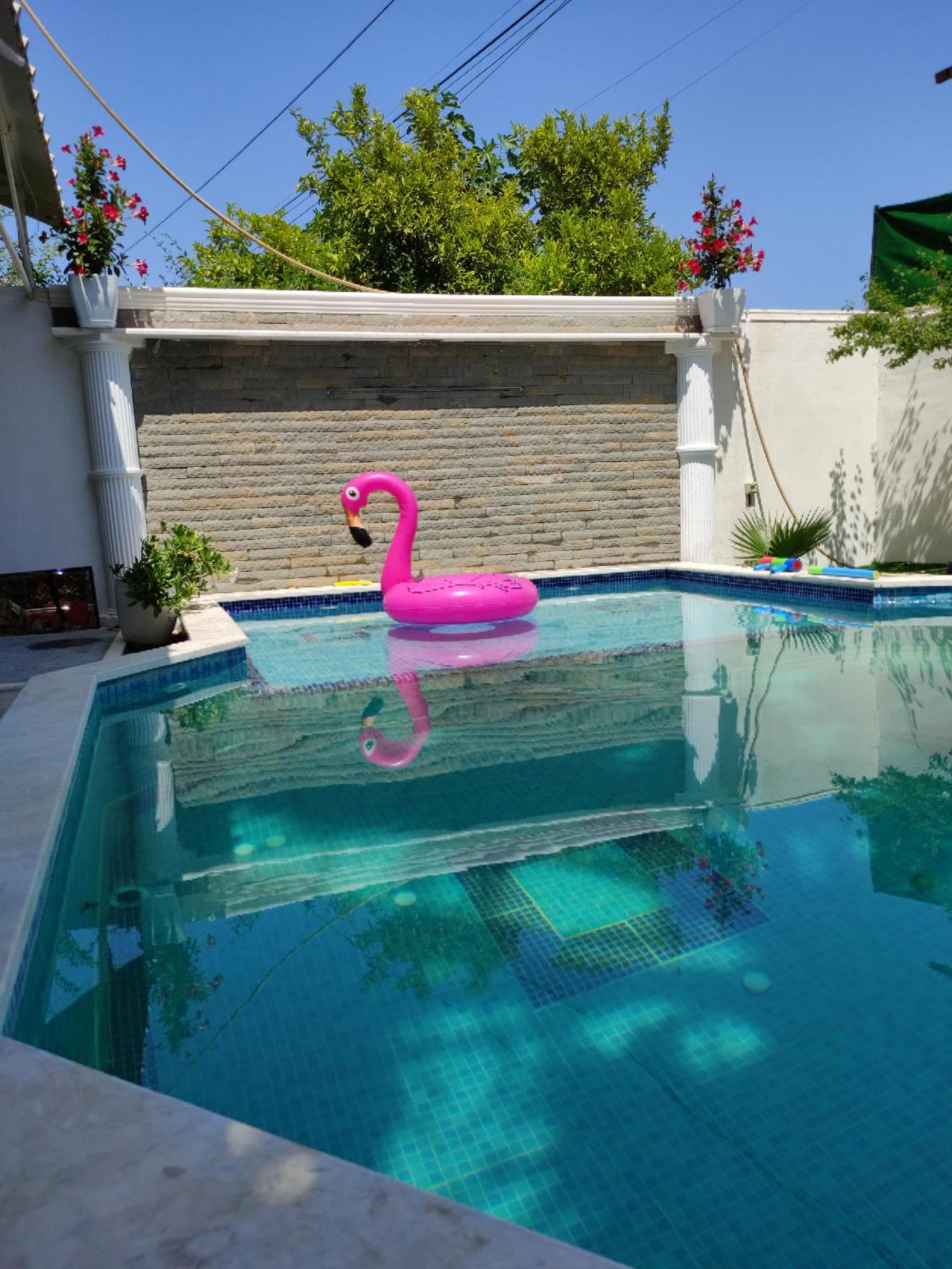 Ilirida-swimming Pool & Garden View For Rent * Durrës